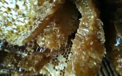 蜂蜜美容_纯土蜂蜜一斤多少钱