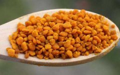 农家蜂蜜_茶花粉的功效与作用
