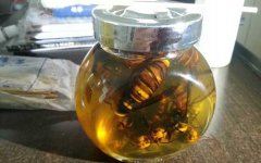 蜂酒的功效与作用有哪些？不