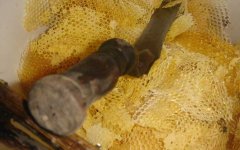 蜂蜜价格_蜂巢蜜的蜂蜡能吃吗