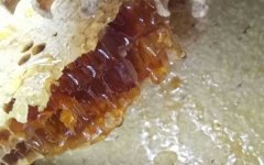 蜂蜜真假_蜂蜜价格多少钱一斤