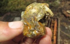 蜂蜜真假_蜂胶怎么吃效果好？