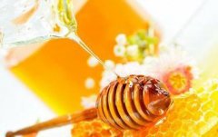 土蜂蜜_蜂蜜的主要成份是什么