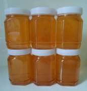 蜂蜜价格_发现野生蜂群如何抓