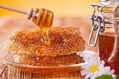 蜜蜂雄蜂知识介绍_蜂蜜价格