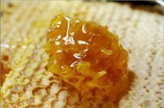 蜂蜜知识_三型蜂的发育过程