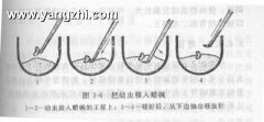 蜂蜜美容_蜜蜂如何移虫